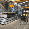 Thép tấm khổ 1220x2500 mm - Đại lý bán thép tấm Đông Dương SG