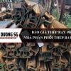 Báo giá thép ray P50 - Nhà phân phối thép ray nhậy khẩu ( ray tàu, ray cầu trục, ray cẩu trục )